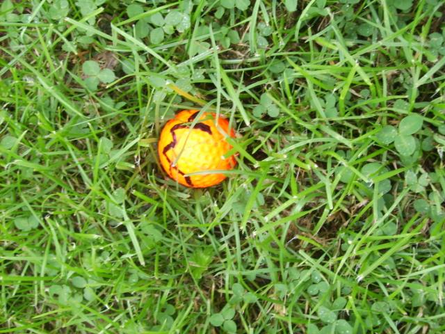 dm_2009_wo_ist_der_ball.jpg