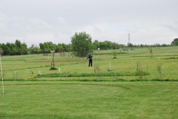 dsc_0176.jpg