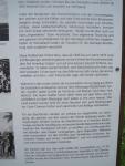 img_1581_t1.jpg