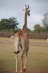 dsc_0049_t1.jpg