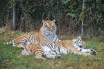 dsc_0088_t1.jpg