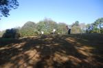 dsc_0560_t1.jpg
