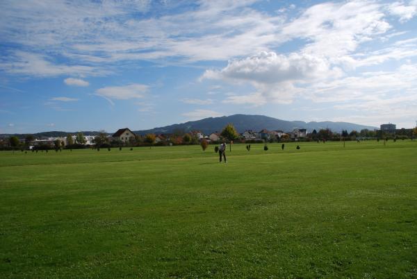 image_37.jpg