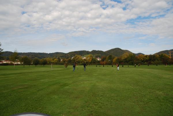 image_46.jpg