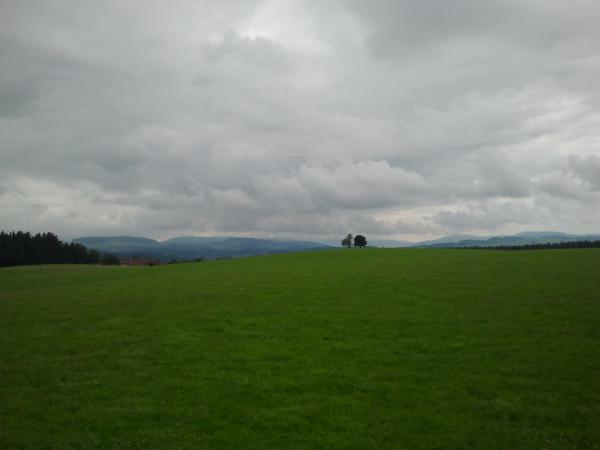 2013-06-22_14.23.43.jpg