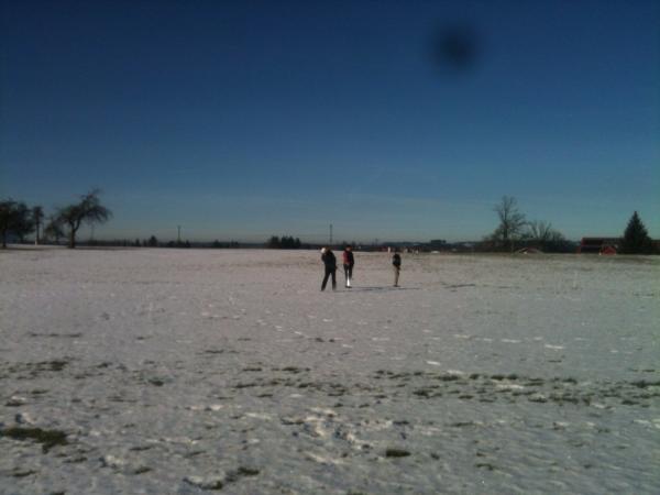 image_5.jpg